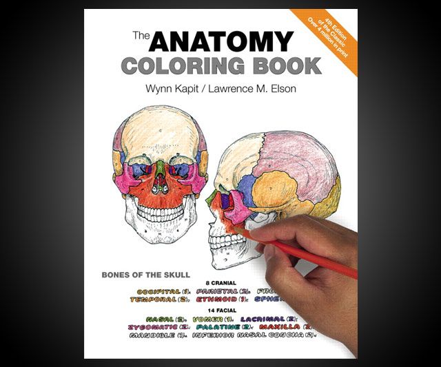 The Anatomy Coloring Book