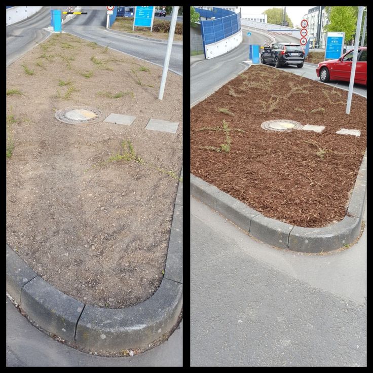 25+ parasta ideaa Pinterestissä Rindenmulch Vorgarten gestalten - vorgartengestaltung mit rindenmulch und kies 25+ parasta ideaa Pinterestissä Rindenmulch Vorgarten gestalten - vorgartengestaltung mit rindenmulch und kies
