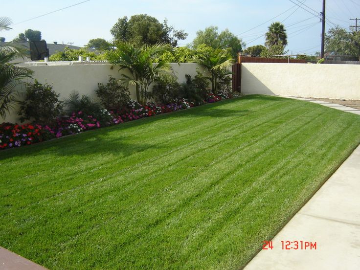 Garden Design Trees palm tree garden design - google search | rooftop grass Garden Design Trees palm tree garden design - google search | rooftop grass