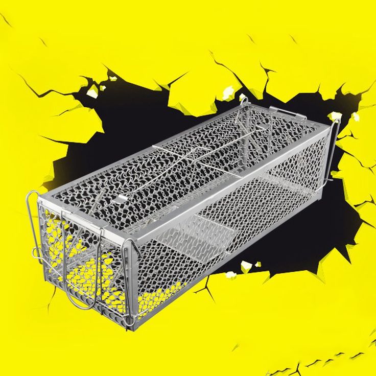 sale high sensitivity mouse cage rodent animal mice