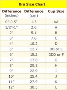 14 best bra size chart images on pinterest bra size charts bra bra size charts