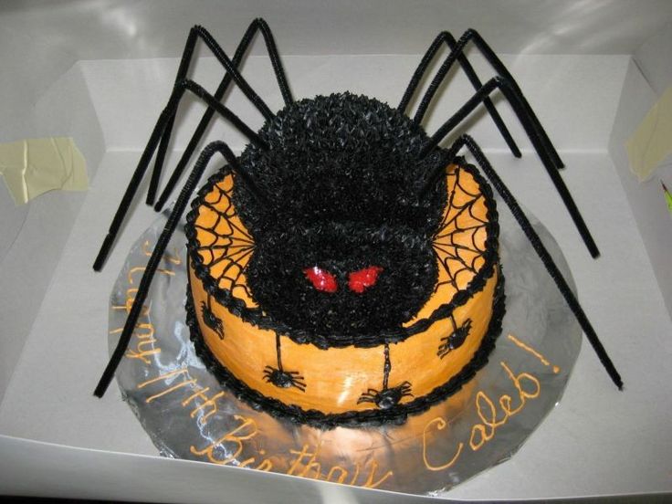 halloween spider cake all buttercream icing legs are pipe cleaners for a halloween birthday - Halloween Cakes Decorations halloween spider cake all buttercream icing legs are pipe cleaners for a halloween birthday - Halloween Cakes Decorations