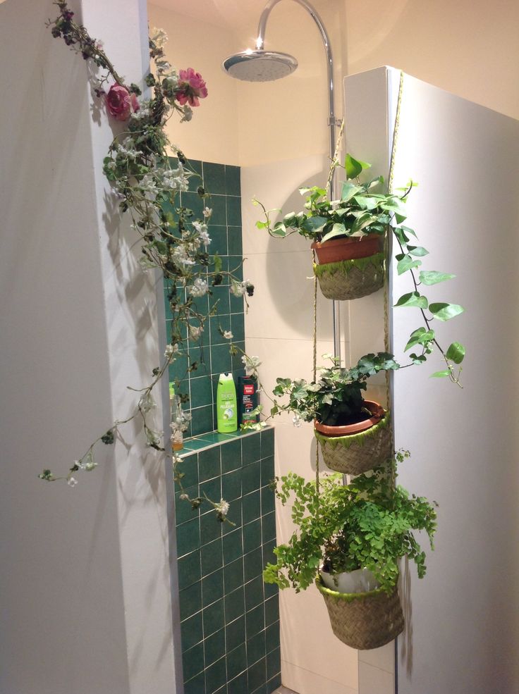 19 best Aménagements sdb images on Pinterest Bathroom, Modern - mauvaises odeurs canalisations salle de bain 19 best Aménagements sdb images on Pinterest Bathroom, Modern - mauvaises odeurs canalisations salle de bain