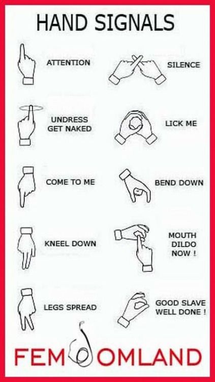 Agreed adult hand signals evidence