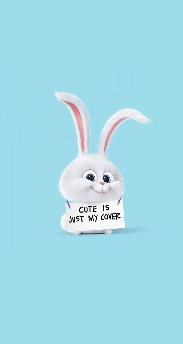 Secret Pets Ideas Pets Secret Life Of Pets Disney Wallpaper Secret Pets Ideas Pets Secret Life Of Pets Disney Wallpaper