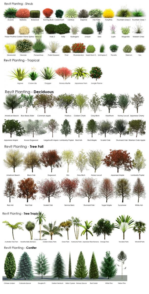Very Helpful In Choosing Plants For Landscaping These Beautiful Very Helpful In Choosing Plants For Landscaping These Beautiful Days We Are Having Always Makes Me Want To Plant Something Plans