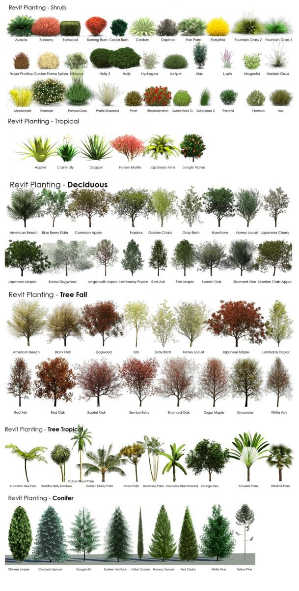 Very helpful in choosing plants for landscaping. These beautiful days we are having always makes me want to plant something.