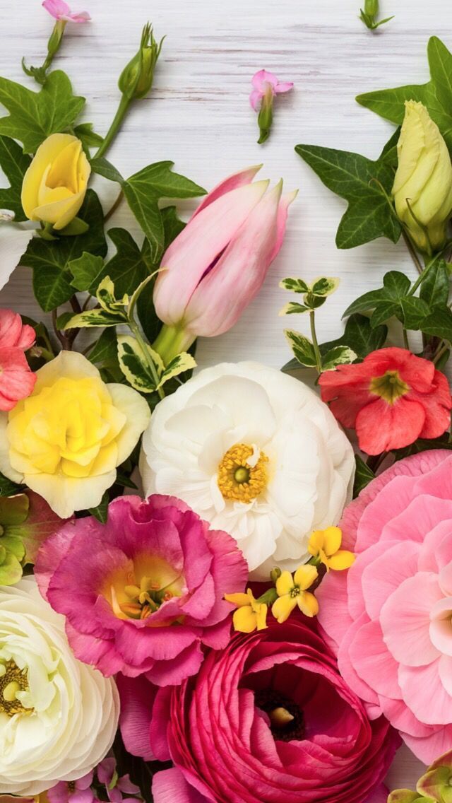 spring wallpapers for iphone best spring backgrounds free spring backgrounds free