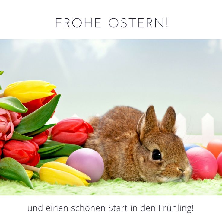 Whatsapp Ostergrüße Video Kostenlos 2021 Whatsapp Ostergrüße Video Kostenlos 2021