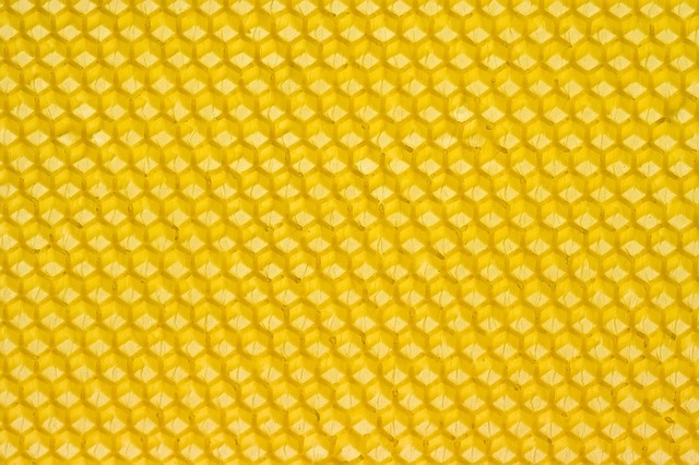 Bee Hive Vector Gallery Vector graphics design, Free