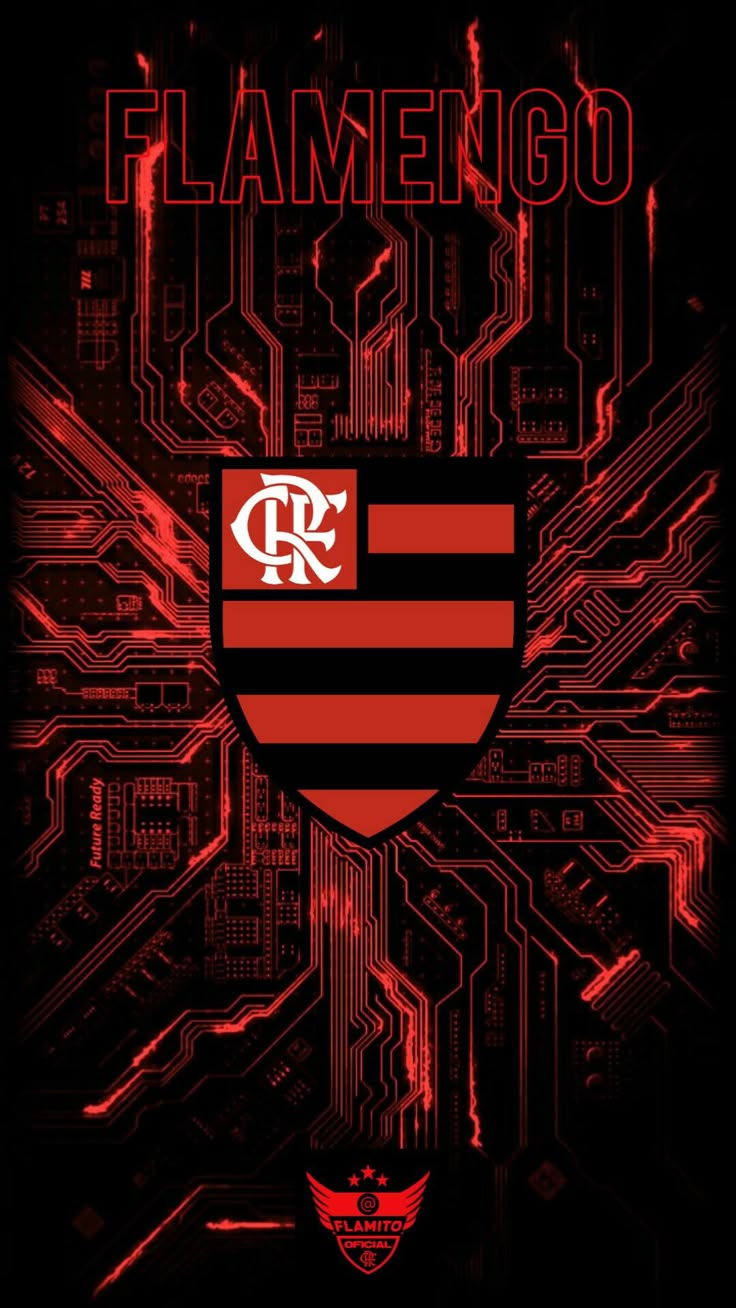 Flamengo Wallpaper / Papel de Parede | Fotos de flamengo, Flamengo