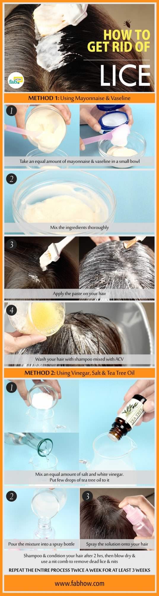 How To Control Lice In Hair Naturally How To Control Lice In Hair Naturally