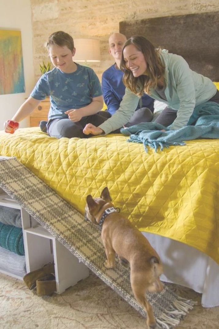 Upcycle Wood Pallets Into A Cozy Outdoor Dog Bed Easy Crafts And Homemade Decorating Gift Ideas Ramp Diy Stuff - Diy Dog Ramp For Bed With Storage Upcycle Wood Pallets Into A Cozy Outdoor Dog Bed Easy Crafts And Homemade Decorating Gift Ideas Ramp Diy Stuff - Diy Dog Ramp For Bed With Storage