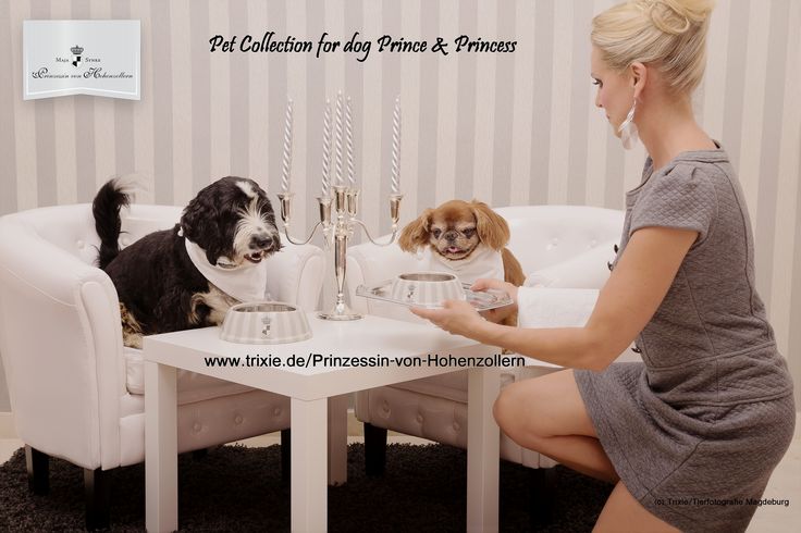 Trixie sales dog prince