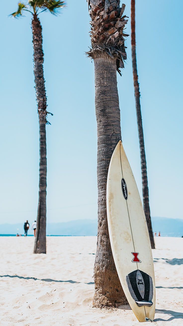Pin By Riley On Iphone Backgrounds Surfing Wallpaper Los Angeles Iphone Wallpaper Los Angeles Wallpaper Pin By Riley On Iphone Backgrounds Surfing Wallpaper Los Angeles Iphone Wallpaper Los Angeles Wallpaper