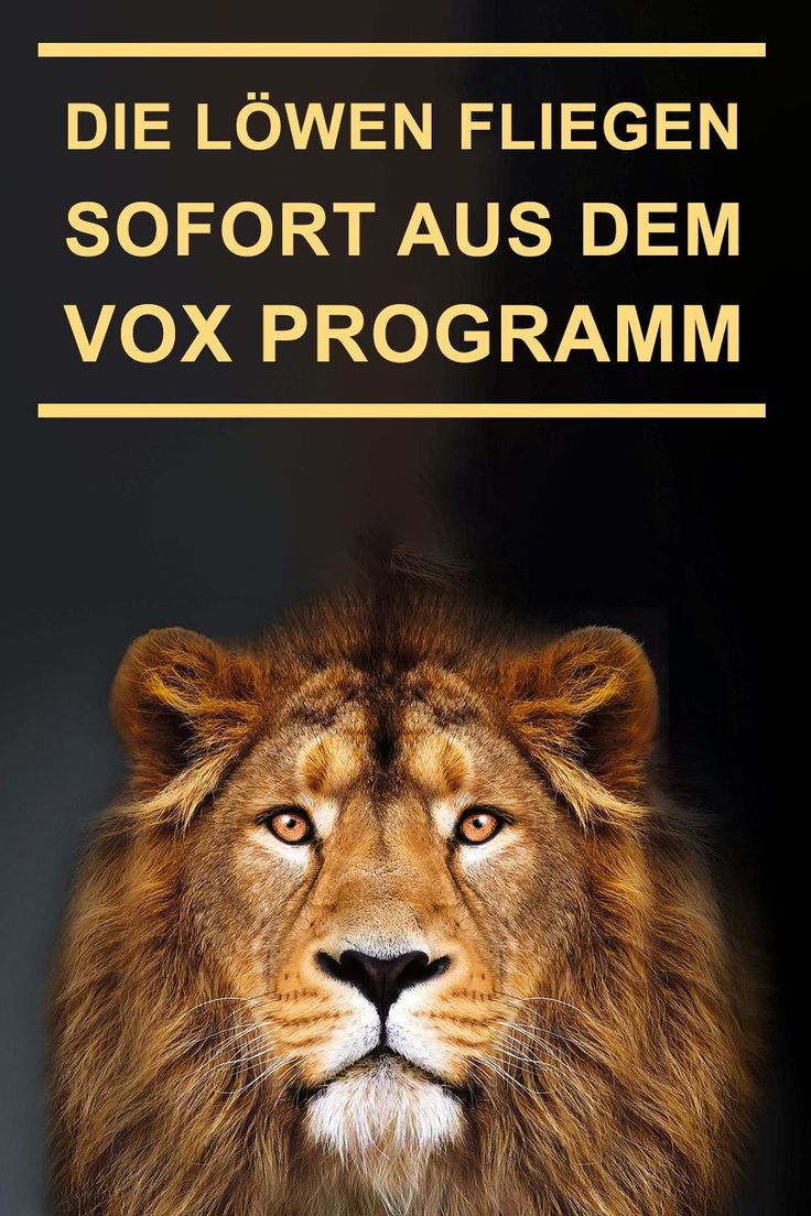 vox programm vox programm