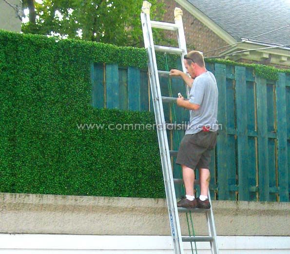 Garden Ideas To Hide Fence best 25+ outdoor privacy screens ideas only on pinterest | patio Garden Ideas To Hide Fence best 25+ outdoor privacy screens ideas only on pinterest | patio