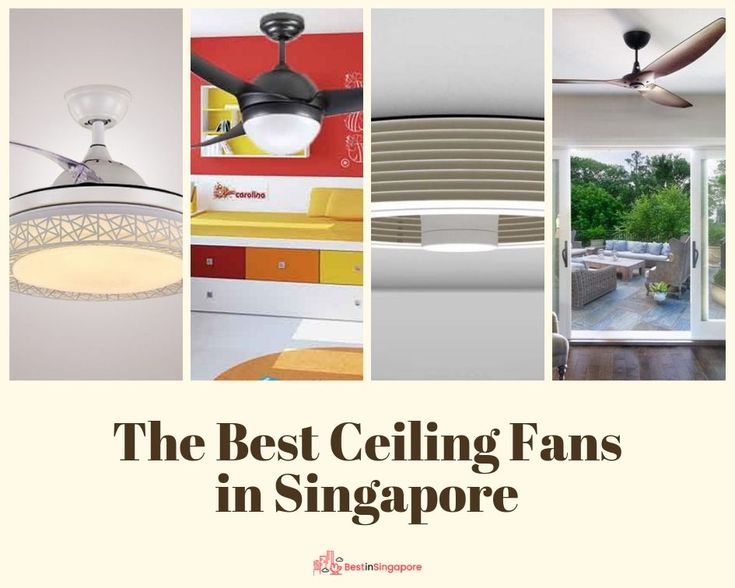 If You Re Seeking The Best Ceiling Fan In Singapore Look No Further We Ve Rounded Up Top 17 Choices For Title Fans Wall Best Ceiling Fans, Which Ceiling Fan Is Best In Singapore