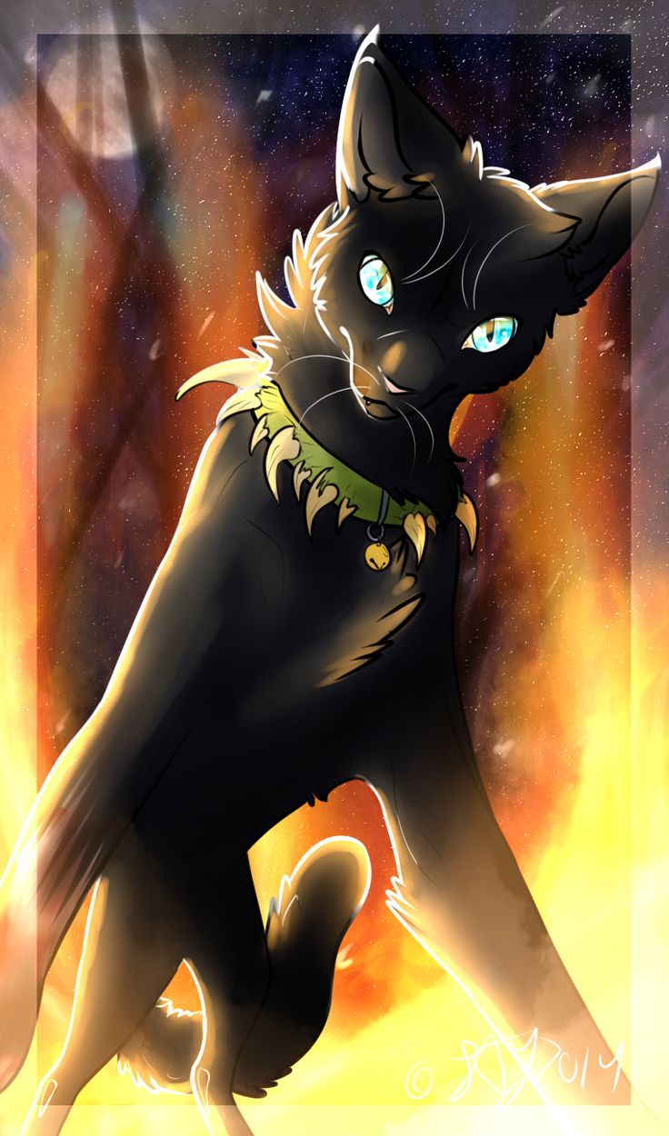 Warrior Cats Lesezeichen Warrior Cats Lesezeichen