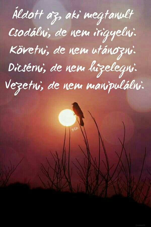 Idézetek a randevúbb fickókról