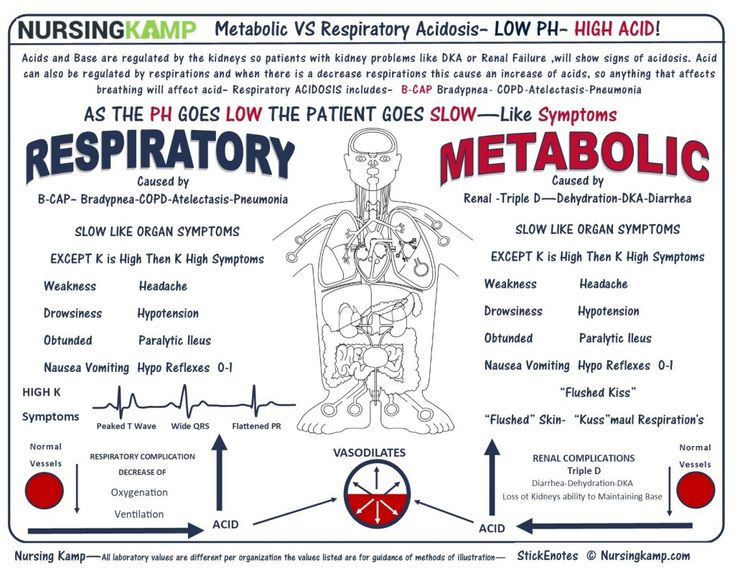 The Nurses Notes on NCLEX | Nursing school studying, Nursing school