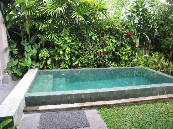 Mini Swimming Pool Designs Adorable Best 25 Mini Swimming Pool Ideas On Pinterest Pool For Small Mini Swimming Pool Designs Classy Best 25 Mini Swimming Pool Ideas On Pinterest Pool For Small