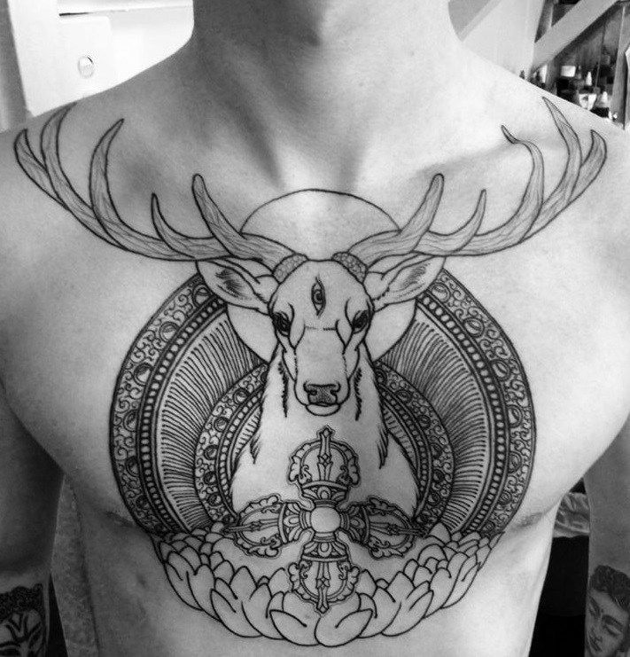 Ten Stag Tattoo Chest Tips You Need To Learn Now Stag Tattoo Chest Chest Lear Ten Stag Tattoo Chest In 2020 Stag Tattoo Chest Tattoo Flowers Chest Tattoo Men