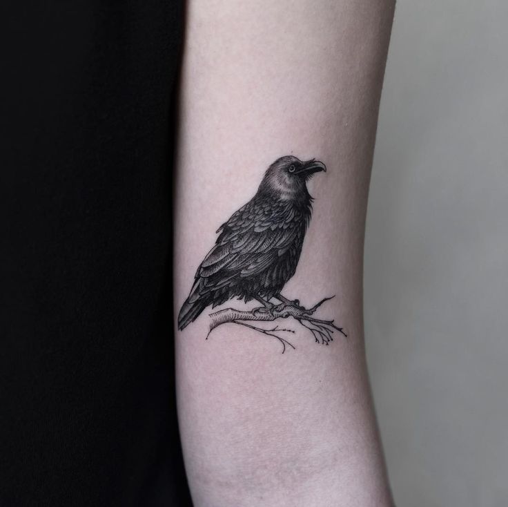 134 best bird tattoos images on pinterest bird tattoos and instagram 134 best bird tattoos images on pinterest bird tattoos and instagram