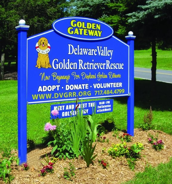 gateway golden retriever rescue 67 best is golden images on fluffy pets dogs and cutest animals gateway golden retriever rescue 67 best is golden images on fluffy pets dogs and cutest animals