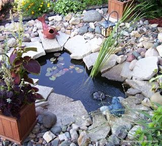 How To Get Rid Of Algae In Pond Naturally How To Get Rid Of Algae In Pond Naturally