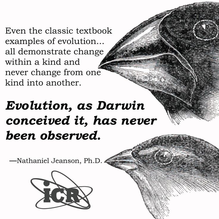 creation vs evolution facts essay Creation vs evolution facts essay writing (creative writing slough) may or may not be listening to the mj station on pandora while writing a 5-7 page research paper. creation vs evolution facts essay Creation vs evolution facts essay writing (creative writing slough) may or may not be listening to the mj station on pandora while writing a 5-7 page research paper.