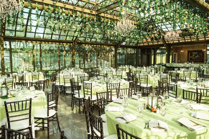 Cheap Galveston Wedding Venues inspire ideas 2022