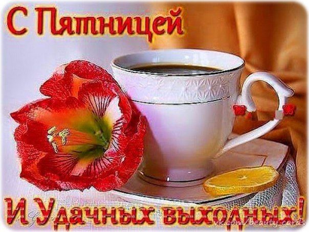 Приколы, цветы картинки с пятницей