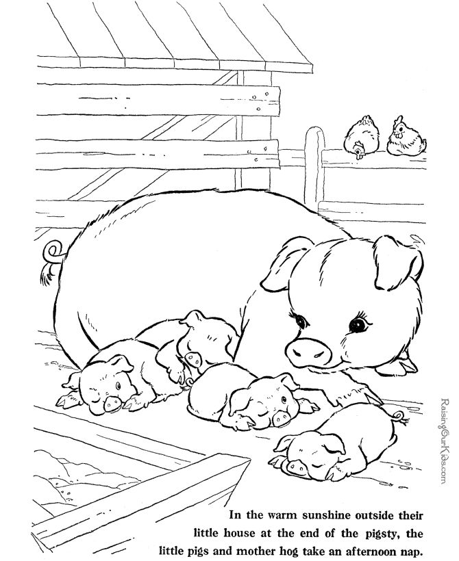 animal farm book online with page numbers