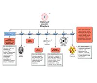 Worksheet Evolution Of The Atom Timeline 152 best c atomic theory sturcture images on pinterest physical science time line history of structure