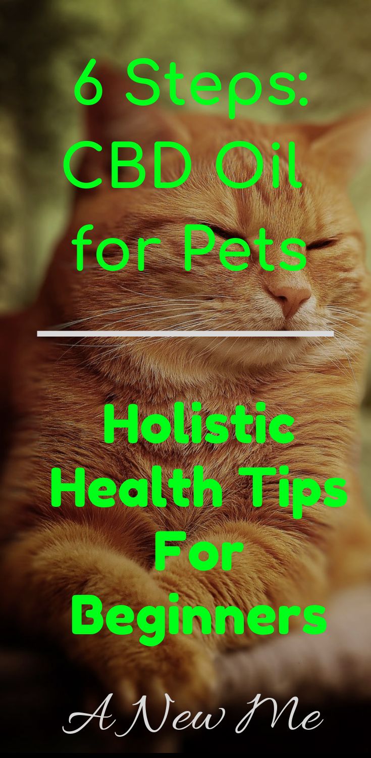 6 Steps: CBD Oil for Pets, Holistic Health Tips for Beginners, Joint Health