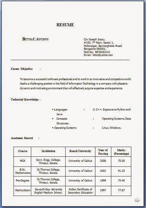 how to create a biodata for job
