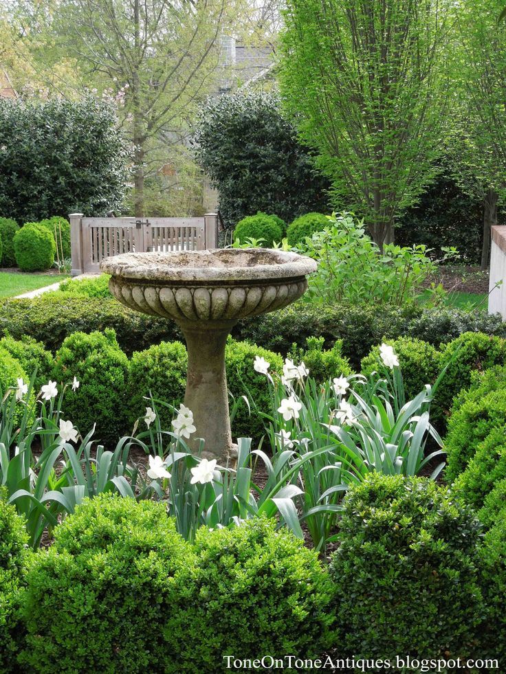 95 best Backyard & Front Yard Landscaping Ideas images on ... 95 best Backyard & Front Yard Landscaping Ideas images on ... on Birds Backyard Landscapes id=44189