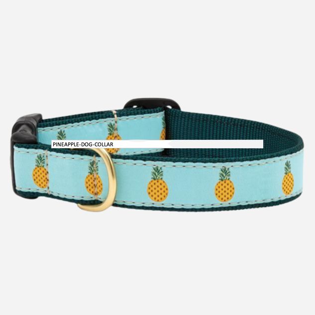 puppy collar cool collar Pineapple dog collar fruit print fun dog collar
