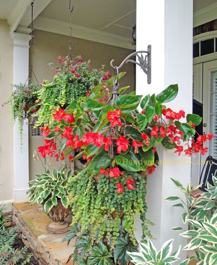 111 best Feng Shui Feuer Fire Red Garden Roter Garten images on - feng shui gartendeko 111 best Feng Shui Feuer Fire Red Garden Roter Garten images on - feng shui gartendeko