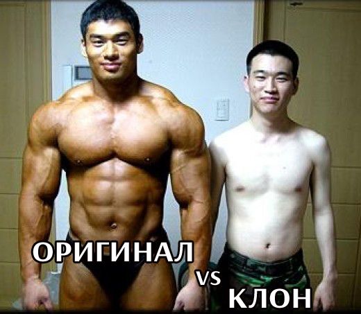 Cards Some Hookup Christmas Memes Bodybuilder Cards Some Hookup Christmas Memes Bodybuilder