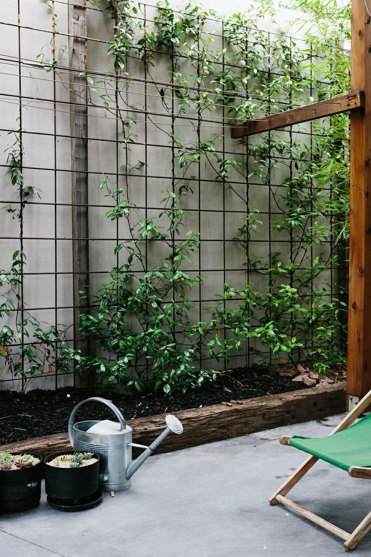 best 25+ garden trellis panels ideas on pinterest | trellis panels best 25+ garden trellis panels ideas on pinterest | trellis panels