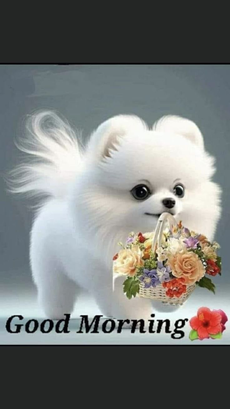 Pin En ANIMALS Frases Divertidas De Buenos D as Mascotas Bonitas variety-sunday-1st-service-built-to-last-23rd-march-2025
