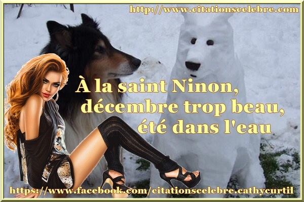Dicton Du 15 Decembre Citations Celebre Phrases Cultes Repliques De Films Dicton Replique De Film Citations Celebres