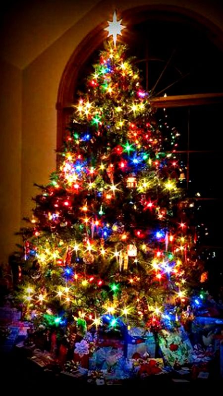 Christmas Eve Nylon Legs Christmas, Christmas Tree, Christmas Christmas Eve | Nylon Legs | Christmas, Christmas Tree, Christmas decorations - Christmas Eve Nylon Legs Christmas, Christmas Tree, Christmas