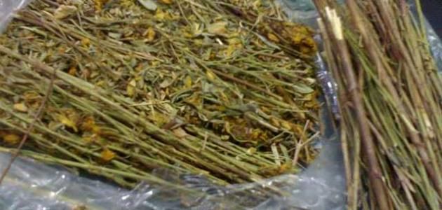 Pin On Farming Production الزراعة و الإنتاج