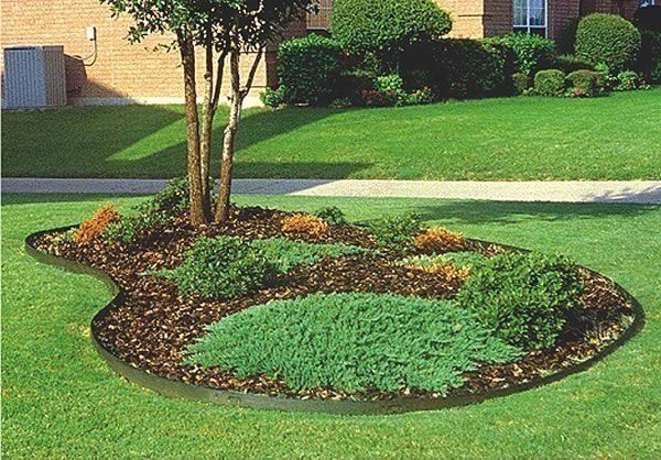 Tree borders landscape