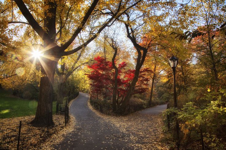 Two Paths Diverged...