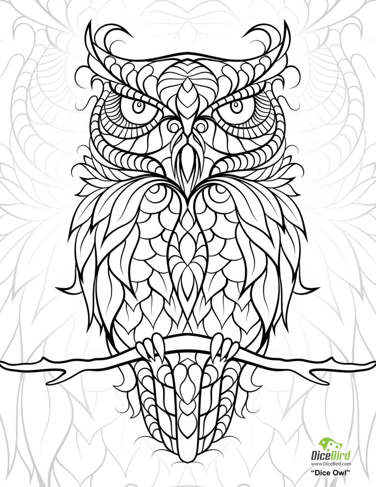 1038 best coloring pages images on Pinterest Coloring pages, Adult - copy baby owl coloring pages for adults 1038 best coloring pages images on Pinterest Coloring pages, Adult - copy baby owl coloring pages for adults