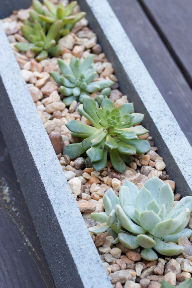 Check out this tutorial for a DIY faux concrete planter using FolkArt® Painted Finishes in ...